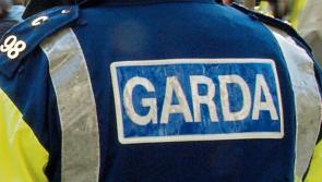 Burglars stole €3,000 worth of cigarettes in late night raid on business premises in county Tipperary village 