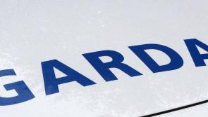 Three Co. Tipperary people appear before court charged in connection with break-in at farm near Carrick-on-Suir