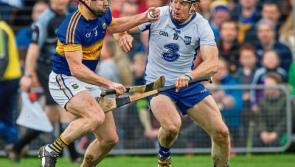 Tipperary hurling manager Michael Ryan says "the year is but a pup"