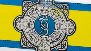 Carrick on Suir man killed in Kilkenny road accident