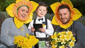 Irish Cancer Society needs drivers in Tipperary