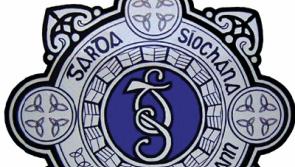 Handbags stolen from parked cars in Cashel and Kilmoyler