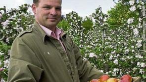Tipperary apple grower helps you to bake the perfect apple tart