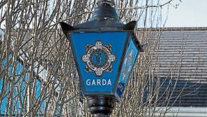 Two men arrested in connection with Clonmel assault and robbery&nbsp;