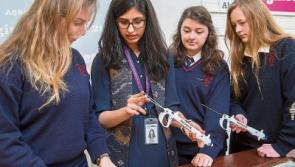 Tipperary students explore engineering with Abbott