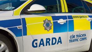 Speed and cannabis seized in Cahir house searches