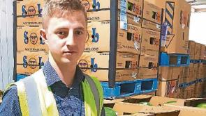From Cahir to Florida - Tipp graduate sows the seeds of future career