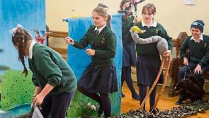 Pupils' creativity flourishes with Des' help