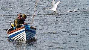 Lough Derg fish study meeting to be held in Ballina, Tipperary