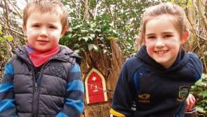 Huge crowds attend first-ever 'Taste of Cahir'