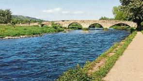 Threat to river Suir fishlife