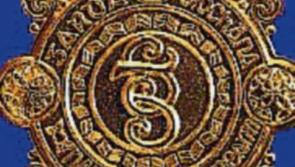 Handbag stolen from car in Dundrum