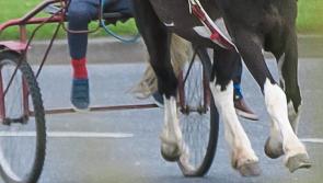 “Minister confirms Sulky awareness courses planned for Tipperary,” Mattie McGrath