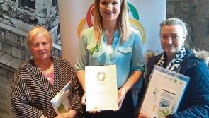 New plan to reduce suicide rates in Tipperary launched by Minister McEntee