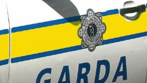 €90,000 worth of cannabis plants seized in Bansha area