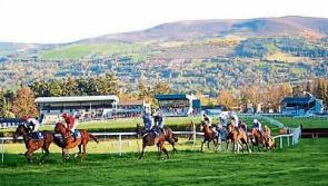  Powerstown Park racecourse is ready for a busy season