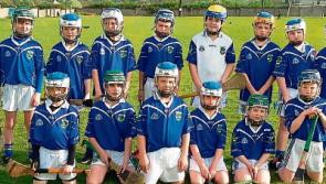 Fethard Killusty Hurlers