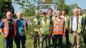 Crann tree planting campaign with Tidy Towns