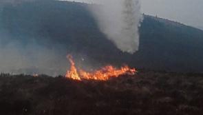Swift action prevents devastating forest fire on Slieve Felim Mountains