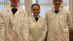 Silvermines cattle deaths: students' project cuts the mustard to clean up toxic land