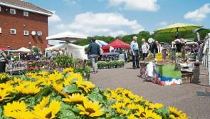 Summer is coming - so it's time for Mallow Garden Show