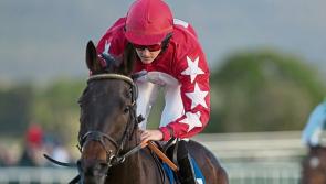 Cheltenham Sweep - Tipperary GAA Club Fundraiser covering all the festival races