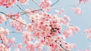 'Heaven was missing an angel - they needed you'