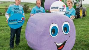 Tipperary farmers are urged 'Go Purple for Crumlin'