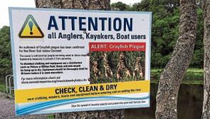 Extra measures put in place to stop spread of Crayfish Plague on River Suir