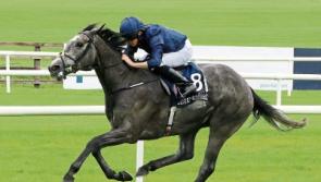 Tipperary wonder horse Galileo sires first four classic winners of the year
