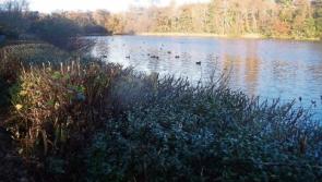 Tipperary Heritage Trail has wealth of information about Marlfield village