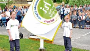Tipperary Town school achieves health flag status