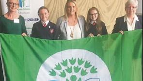 Carrick on Suir School earns its 6th Green Flag award