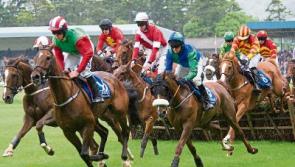 Bumper crowd at Clonmel Races as Davy Russell lands a treble