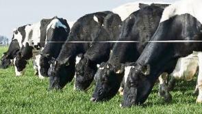 Tipperary farming: Glanbia to pay 32cpl for May milk