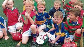 Cashel KC 1-17 Arravale Rovers 2-11