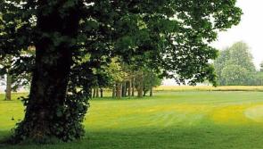 Cahir's Inch Field tree trail 