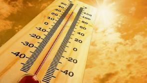 How to survive a heat wave!