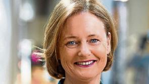 Clune urges companies to do more business online following Eurostat survey