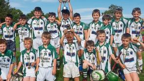 Cahir win Christian Flannery memorial hurling tournament in Clerihan