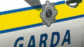 Gardai stop Cashel sulky race 