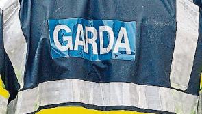 Cannabis seized in Cashel house search