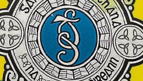 Gardai investigate damaging of car in Carrick-on-Suir