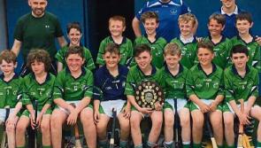 Successful year for St Colmcille's Primary School Templemore