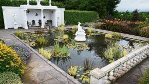Templemore Charity Open Garden