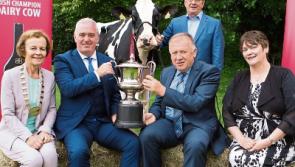 Tipperary Dairy breeders prepare to compete for €10,000 Prize Fund as Diageo and Glanbia Ireland launch 2017 Baileys Cow