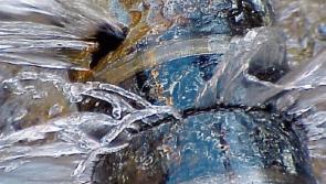 Burst water mains in FOUR Tipperary towns today