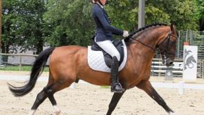 Tipperary teenager will represent Ireland in Hungary