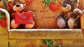 Teddy bears' picnic in Cashel