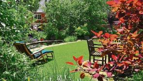 Clonmel  magical garden open to help disabled support group
